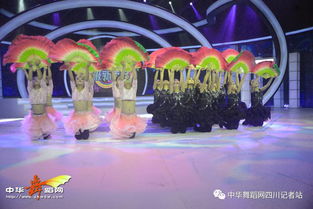 舞韻綻芳華，星光啟航藝術(shù)培訓(xùn)學(xué)校攜《陌上花開》亮相四川廣播電視臺(tái)超級(jí)新秀場(chǎng)